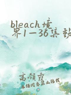 bleach境界1—36集动漫免费观看36集