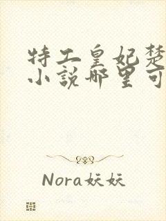 特工皇妃楚乔传小说哪里可以看