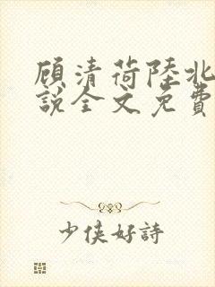 顾清荷陆北舟小说全文免费阅读全文