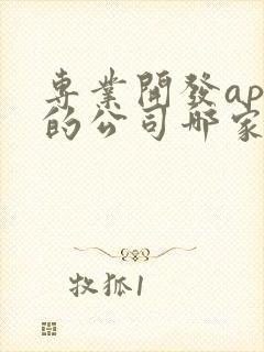 专业开发app的公司哪家好