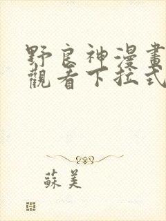 野良神漫画免费观看下拉式