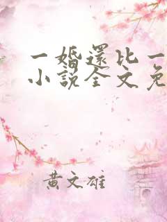 一婚还比一婚高小说全文免费