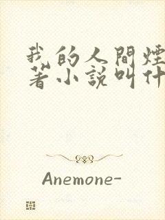 我的人间烟火原著小说叫什么