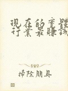 现在的实体什么行业最赚钱