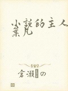 小说的主人公叫叶凡