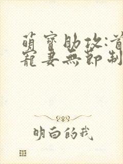 萌宝助攻:首席宠妻无节制