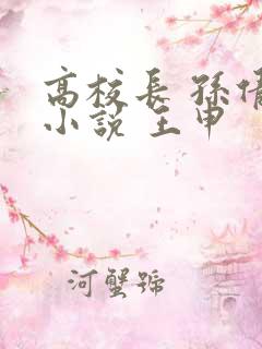 高校长 孙倩 小说 王申