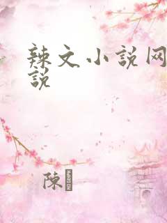 辣文小说网 小说