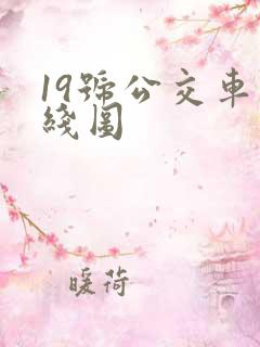 19号公交车路线图