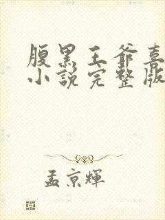 腹黑王爷喜当爹小说完整版大结局