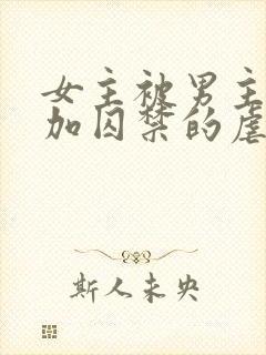 女主被男主qj加囚禁的虐文