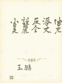 小说反派他过分美丽全文免费阅读