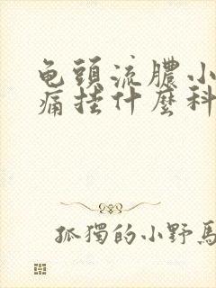 龟头流脓小便刺痛挂什么科