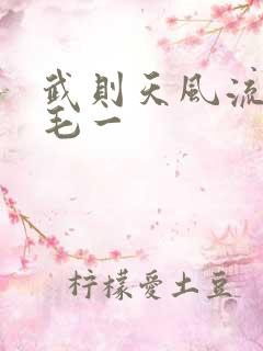 武则天风流艳情毛一