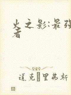 火之影:最强忍者