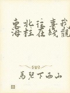 东北往事我叫刘海柱在线观看