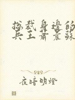 总裁身边的超级兵王萧晨苏晴