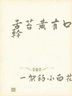 舌苔黄有口臭口干