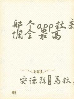 哪个app拉新佣金最高