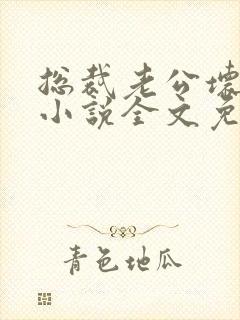 总裁老公坏又甜小说全文免费阅读