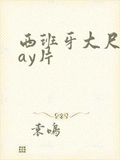 西班牙大尺度gay片