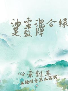 油电混合绿牌还是蓝牌