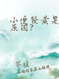 小便发黄是什么原因?