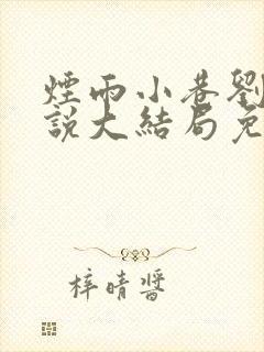 烟雨小巷刘聪小说大结局免费阅读
