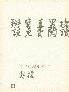 掰弯直男攻略小说免费阅读