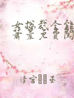 女总裁全能兵王萧晨免费阅读