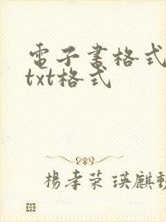 电子书格式转换txt格式