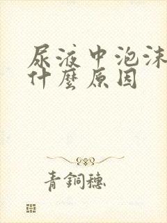 尿液中泡沫多是什么原因