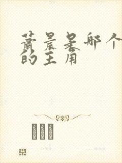 萧晨是哪个小说的主角