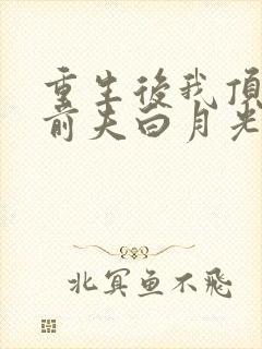 重生后我顶替了前夫白月光免费版