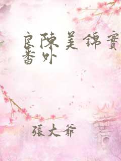 良陈美锦实体书番外