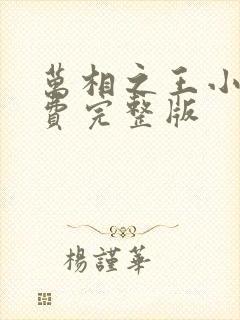 万相之王小说免费完整版