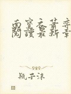 南宝衣萧弈免费阅读最新章节