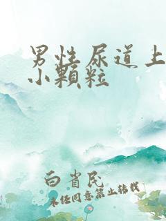 男性尿道上长了小颗粒