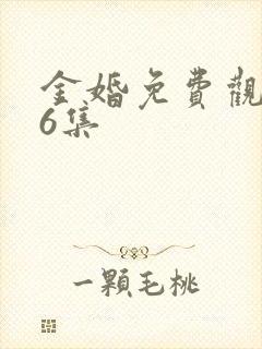 金婚免费观看56集