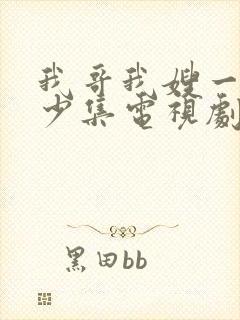 我哥我嫂一共多少集电视剧