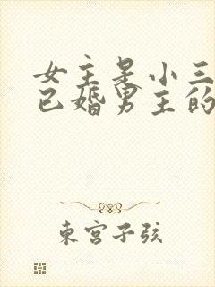 女主是小三勾搭已婚男主的文