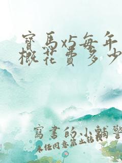 宝马x5每年大概花费多少钱