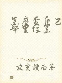 怎么查自己车在哪里位置