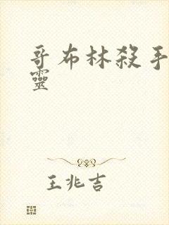 哥布林杀手女精灵