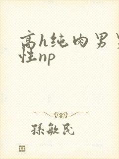 高h纯肉男男双性np