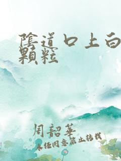 阴道口上白色的颗粒