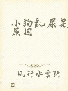 小狗乱尿是什么原因