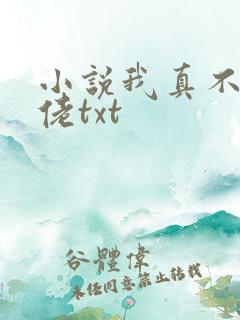 小说我真不是大佬txt
