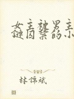 女主被男主用锁链囚禁的小说