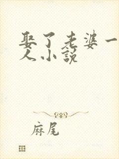 娶了老婆一家女人小说